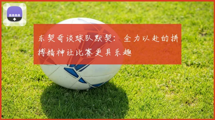 东契奇谈球队默契：全力以赴的拼搏精神让比赛更具乐趣