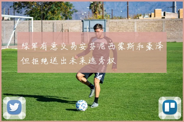 绿军有意交易安芬尼西蒙斯和豪泽但拒绝送出未来选秀权