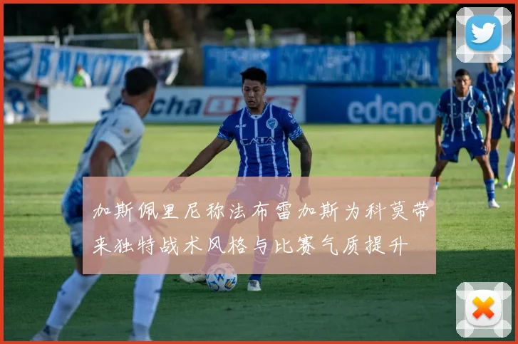 加斯佩里尼称法布雷加斯为科莫带来独特战术风格与比赛气质提升