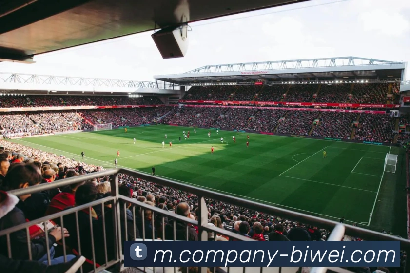 必威体育服务体系